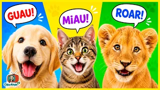 El Sonido de los Animales - ¿Qué sonido hacen los animales? 🐶🐱🦁 Aprende con los animales - 20 min