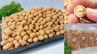 BESAR, MULUS, SUPER RENYAH !! CARA BUAT KACANG TELUR KOKOH