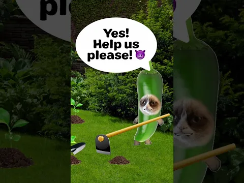 EP3 - Is banana cat stupid? 😢