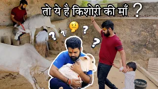 तो ये है अपनी किशोरी की माँ#cow #cows #funny #viral #youtubeshorts #shorts @Gopalakjayshorts