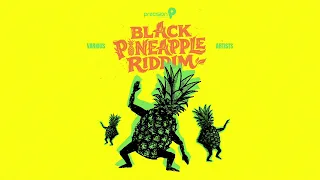 Want Um (Official Audio) | Tian Winter [Black Pineapple Riddim Antigua 2026]