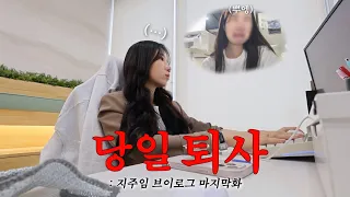 지주임 브이로그 마지막화 : 노비 문서 태우고 백수된 날