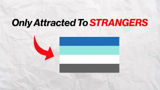 NICHE Pride Flags Explained!