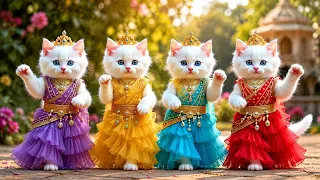बिल्ली का डांस वीडियो | Cat videos | funny cat dance 😻💃| Videos for cats billi dance | #dancingcat