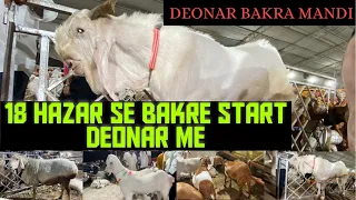 Bakre Horahe Sastey??? | Deonar Bakra Mandi Today Updates| Deonar | Bakra Mandi 2023 | Mumbai |