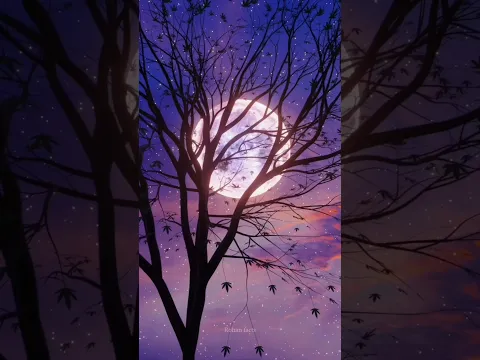 2024 astronomical events | Blue moon | Pink moon | #astronomical #facts