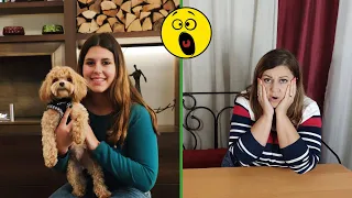 IGEN NAP! MA MOLLI MINDEN KÉRÉSÉRE IGENT KELL MONDANOM! NA DE KUTYA???