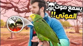 اخذت ببغائي للمقبرة وصدمتنا ردة فعله #سبحان الله