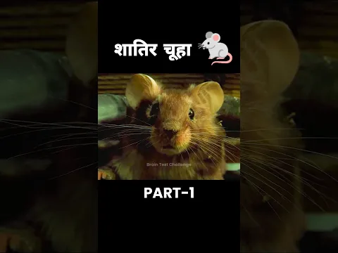 PART 1: एक चूहा और 2 दोस्त 😂 | movie explained in Hindi #shorts