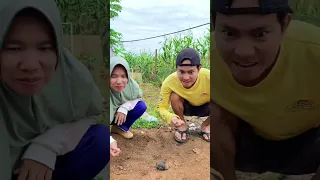 Kumpulan video mama abdul