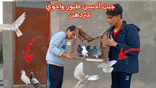 جبت أحسن طيور جدد واخوي شردهن😭من وره الجلب🐶تحشيش مطيرجي أخوي شرد طيوري كلها،#روميو