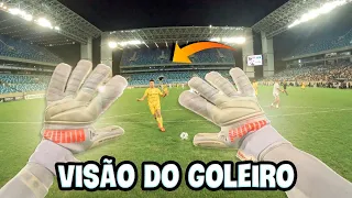 VISÃO DO GOLEIRO JOGANDO NO ESTÁDIO DE COPA DO MUNDO!!
