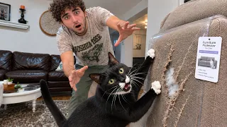 I Bought Every Scam Cat Product
