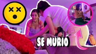 ¡FINGÍ MI MUERTE! BROMA PESADA A LULU99 - Amara Que linda