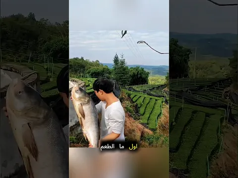 أول ما رموا الطُعم، فقاعات ضخمة طلعت من الميّه… وتحت كان مستخبي سمك قرموط عملاق! 😱🐟