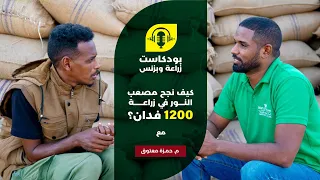 كيف نجح مصعب النور في زراعة 1200 فدان؟ | هل تستحق الزراعة الحديثة تكلفتها؟ | بودكاست زراعة وبزنس