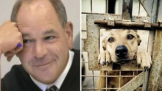 Angry Judge Gives Animal Abusers A Taste Of Their Own Medicine