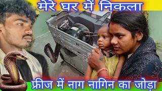 अचानक मेरे घर में निकले नाग नागिन बाल बाल बचे मालती काटने से#mrvishnuraj
