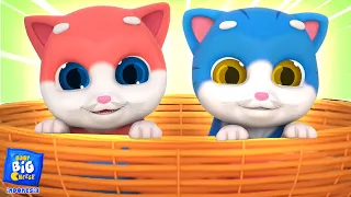 Lima Anak Kucing Kecil Lagu Berhitung  + Lainnya Video Edukasi Untuk Anak-Anak