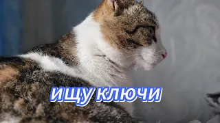 ИЩУ КЛЮЧИ ОТ ПОДВАЛА, НАШЕЛ АМУЛЕТ СИРЕНОГОЛОВОГО