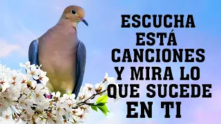 HERMOSAS ALABANZAS CRISTIANAS DE ADORACION 2021 - LA CANCIÓN CRISTIANAS MAS HERMOSA DEL MUNDO 2021