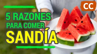 5 RAZONES PARA COMER SANDÍA | Ciencia de la Comida