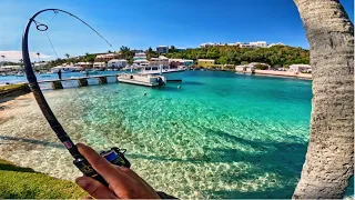 Action-Packed Fishing in Crystal Clear Waters 🌊