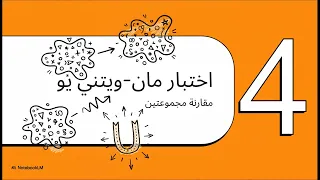 كشف أسرار البيانات  الاختبارات اللامعلمية-وحدة5 -عامر عمر-ذكاء اصطناعي