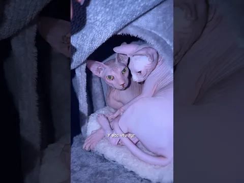 Как быстро растут наши дети🥹❤️