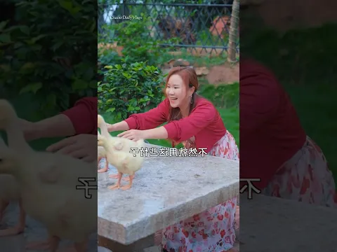 I built a house for the ducks to live in #shorts #facts #youtubeshorts