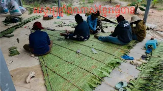 រៀបភ្ជាប់ស្លឹកឃុនមាររាងជាត្រីកោណ