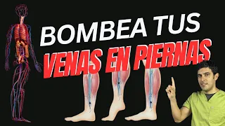 Hazlo por 20 minutos BOMBEA TUS VENAS DE LAS PIERNAS