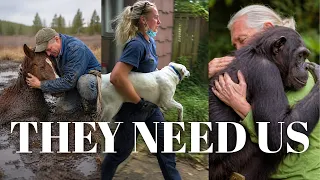 They Saw Animals In Pain And Ran To Help
