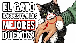 ¡Tu gato solo hace ESTO si eres un dueño EXCELENTE