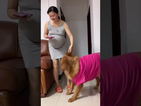 干什么呀？莫名其妙的！#孕妈 #夫妻日常 #萌宠出道计划