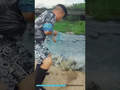 Terrific net casting under the bridge never believed it's real #fishing #netsfishing
