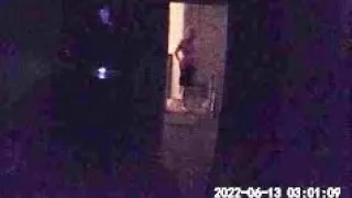 I SAW A GHOST (captured with motion detecting camera 😯 🎥 👻 )