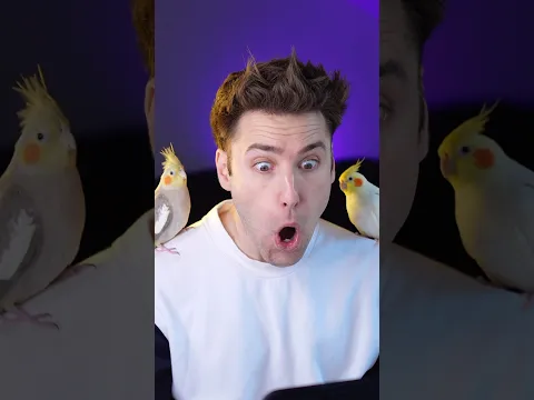 Ok! This Theory is 😱🤯😨.. Part 2