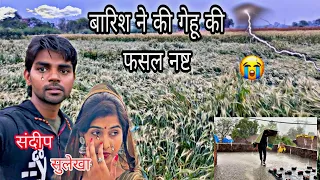 तेज हवा और बारिश ने किया फसल नष्ट