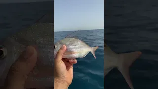 صيد سمكه الحلوف ،ليبيا