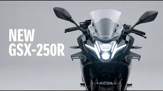 2027 Suzuki GSX-250R Revealed 😱 New Styling, More Power & Tech