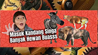 Bersahabat Dengan Hewan Buass
