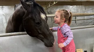 Giving Horse Cones to everyone