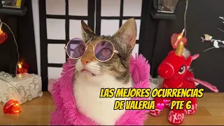 Las Mejores ocurrencias de Valeria Pte 6