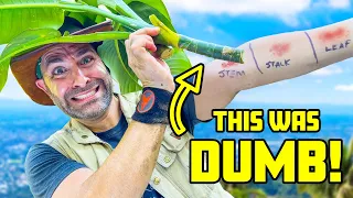 POISONED by the Dumb Cane!