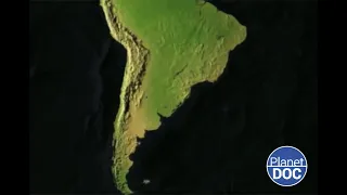 Las maravillas de la Patagonia: un refugio único e insustituible para la fauna salvaje