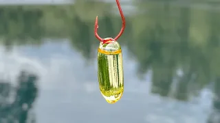 Will Fish Eat Fish Oil Pills?
