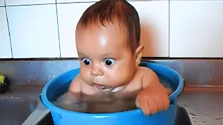 Satisfying Cutest baby Cat Funny videos crazy dance Videos for cats #funny #cartoon #cat #babyvideos