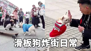 滑板狗炸街日常，今天带一个小哥哥玩滑板，粉丝太多变成人墙路都堵了！【小法斗球球】