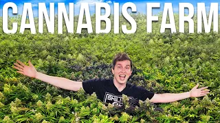 Cannabis Farm Vlog: Private Reserve Gardens